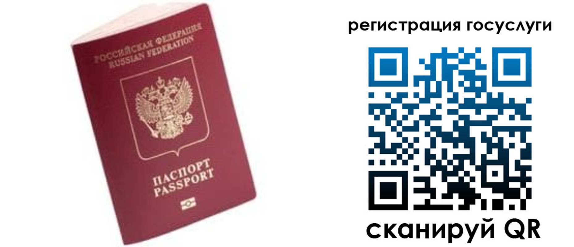 прописка поиск в Людиново